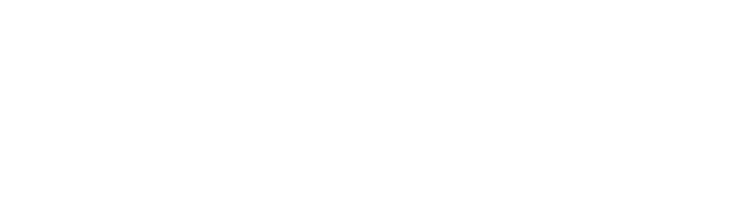 OSTUPCHUK — Wealth People Corporation